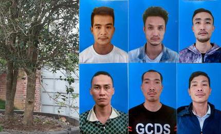 Công an huyện An Dương: Phá ổ nhóm trộm cắp cây cảnh tại các đình, chùa và nhà dân